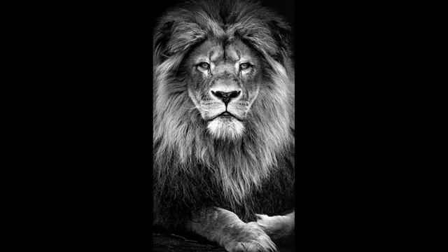 №1 Введение смотреть онлайн