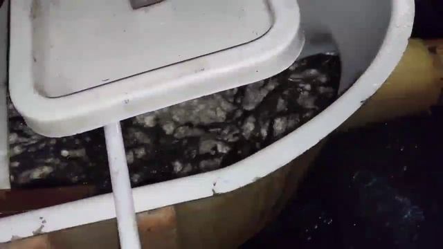 В Финский залив с петербургской дамбы выпустили тысячи мальков сига смотреть онлайн