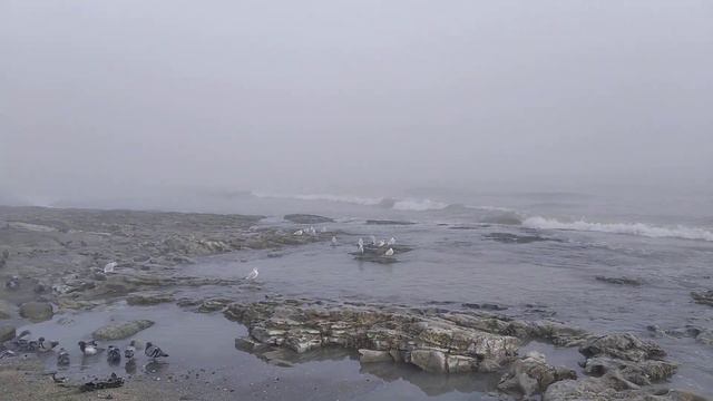 Дагестан Каспийское море январь 2023 смотреть онлайн