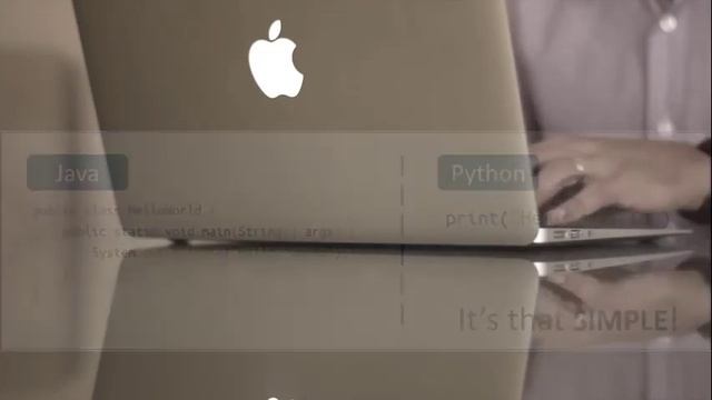 NEGA PYTHON ? смотреть онлайн