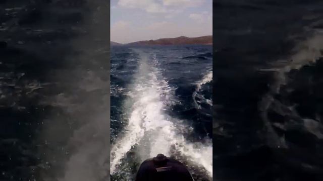 Reef 335 НДНД + HANGKAI 5 л.с. смотреть онлайн