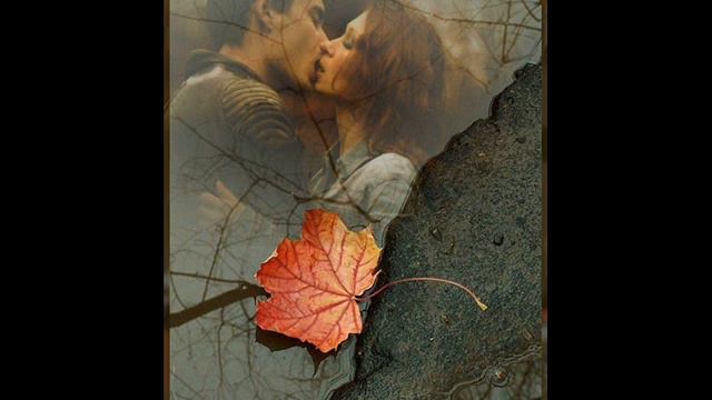 Верасы: Желтый лист. автор видеоклипа Игорь Потапенко смотреть онлайн