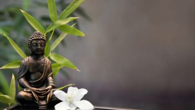 Buddha's Flute | Healing Flute Music Meditation