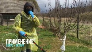 ХОРУС и АКТАРА ☢️ мощная баковая смесь ВЕСНОЙ