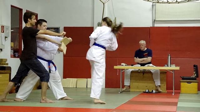 Nina Kerner, Bruchtest Tora Yop Chagi (2014-07 Bremen 1860) смотреть онлайн