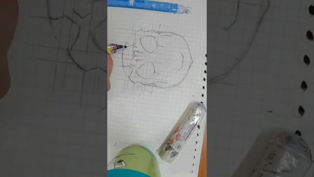 draw + Skull anatomy смотреть онлайн