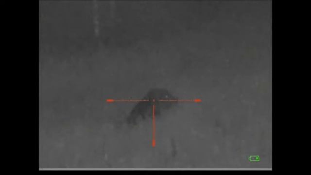 Юкон- Фотон, сьёмки медведя 45 метров, фонарь 940 и встроенный родной. смотреть онлайн