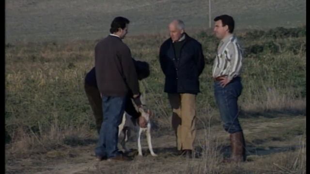 Пойнтер. Собаки от А до Я (DOGS FROM A TO Z) смотреть онлайн