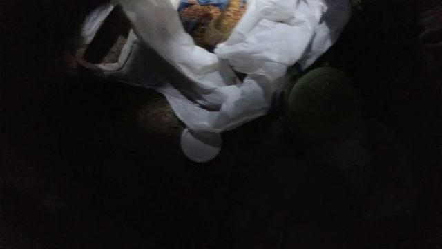 Долгожданная рыбалка с ночевкой, на реке Молога. смотреть онлайн