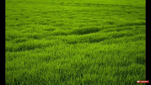 Идеи для праздничного макияжа