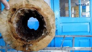 колодное бортевое пчеловодство пасека мед улей пчелы