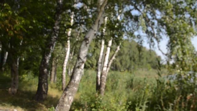 Кучугуры воды смотреть онлайн