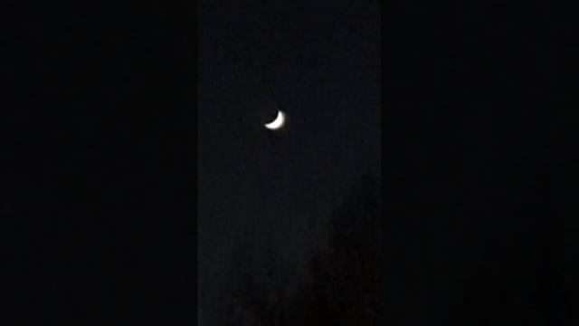 Луна 🌙 22.02.2023 г. в г. Санкт-Петербург. Луна встретилась с Юпитером и Венерой. #SaintPetersburg смотреть онлайн