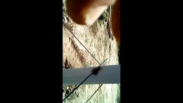 Фундаменты без лишних хлопот