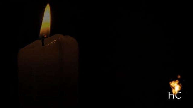 Что делать если вас задержали? Народная самооборона Беларусь смотреть онлайн
