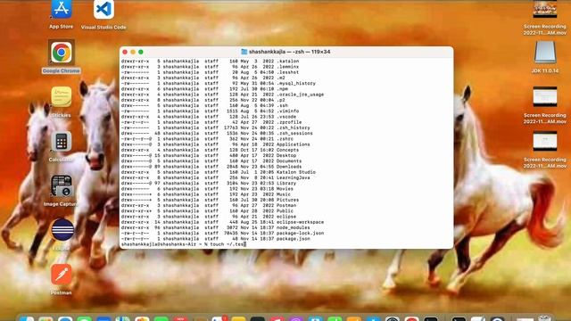 Installation of Java JDK 11 on macbook #installation #jdk #mac смотреть онлайн