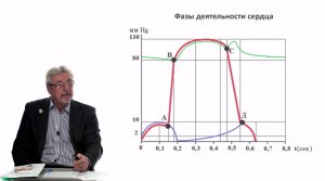 Евсеев А.В. Нормальная физиология. Лекция №12. Фазы и физические проявления деятельности сердца.2023