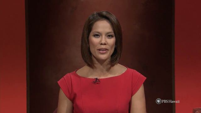 Election 2014: Honolulu City Council Districts 4 and 6 | Insights on PBS Hawai'i смотреть онлайн