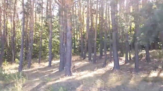 АСМР. Релаксация и медитация... Только голос. ASMR смотреть онлайн