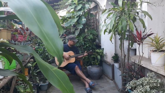(Richard Marx) Right here waiting fingerstyle смотреть онлайн