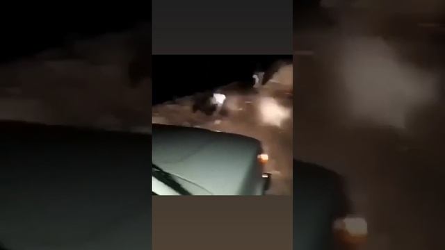 Скатился смотреть онлайн