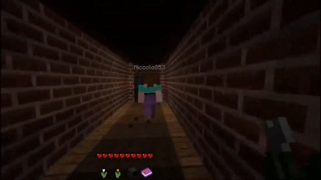 Niccolo & Maggie Minecraft HORROR  ... Patotatoman's Demon Brain