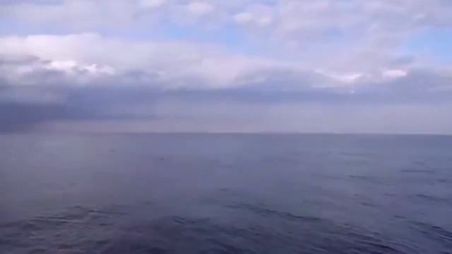 Love is Blue _ Поль Мориа _ Paul Mauriat смотреть онлайн