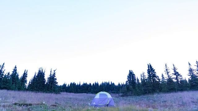 ЛЕС НОЧЬЮ - Ветер в деревьях - Расслабление, изучение сна, снятие стресса. Night Time Forest Sounds