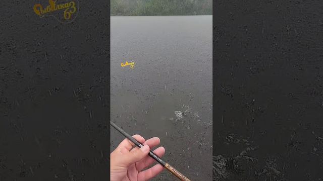 Вот такой окунь в дождь смотреть онлайн