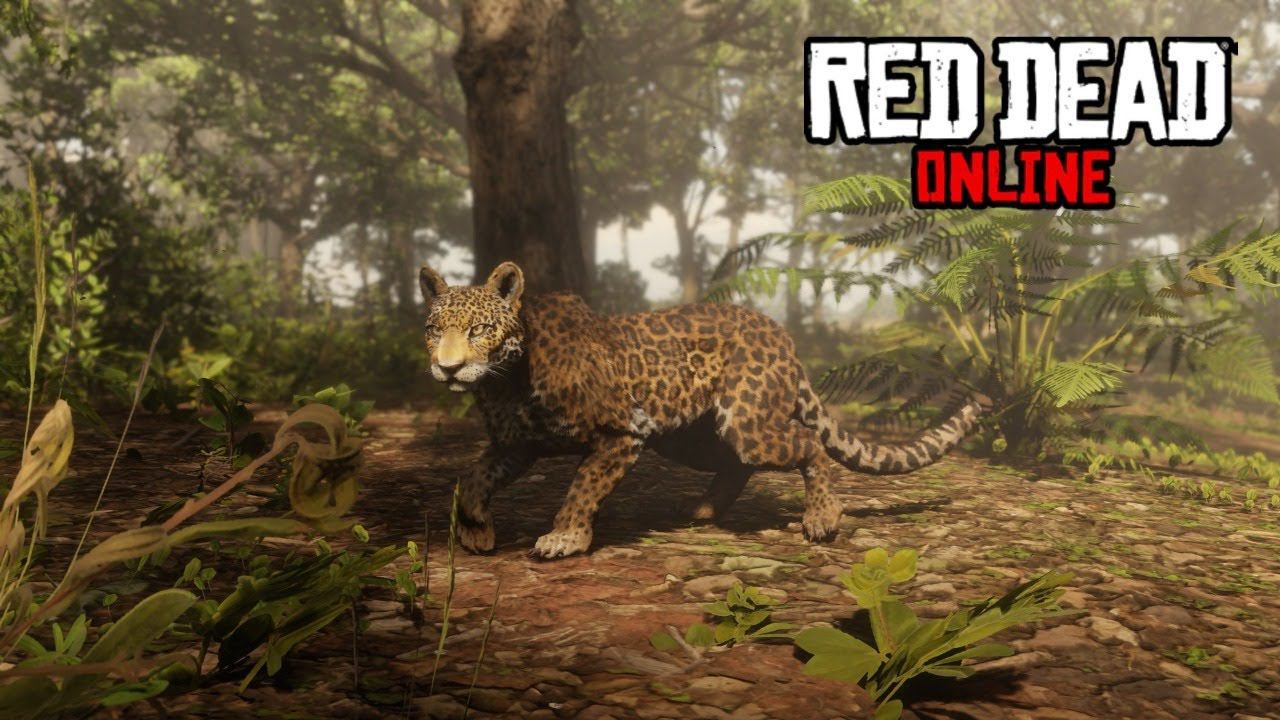 Обновление Red Dead Online: Роль Натуралиста смотреть онлайн