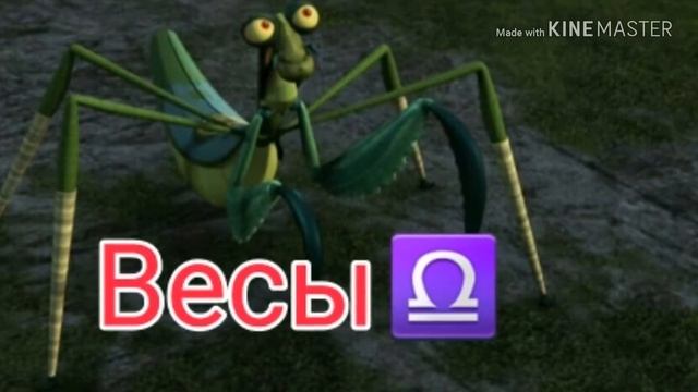 Кто ты по знаку Зодиака из м/ф "Кунг-фу панда" смотреть онлайн