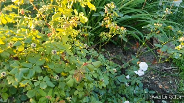 Диеты и правильное питание