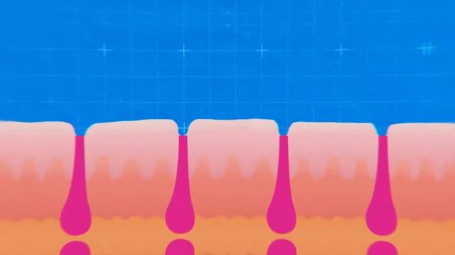 Части Тела Животных, Которые Не Используются По Назначению смотреть онлайн