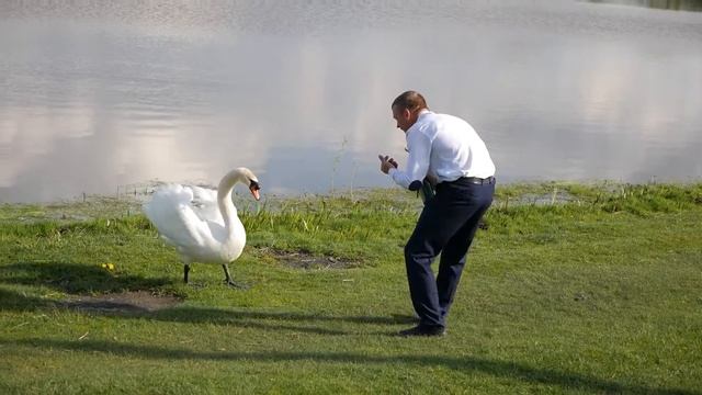 Шлюбний танець лебедів. Прикол на весіллі... смотреть онлайн