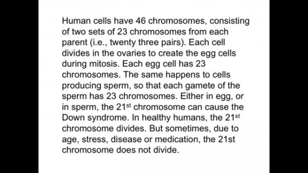 IRENE CAESAR - THONBURI UNIVERSITY SYMPOSIUM JULY 23 2016
