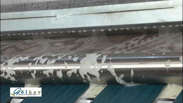 GOLKAY HALI YIKAMA FABRİKASI 444 3 624