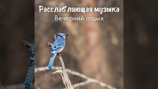 Успокаивающие ритми смотреть онлайн