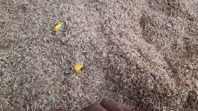 AYO! KUMPULKAN MAINAN PESAWAT TERBANG , PESAWAT KARGO, HELIKOPTER POLISI, JET TEMPUR, AIRBUS