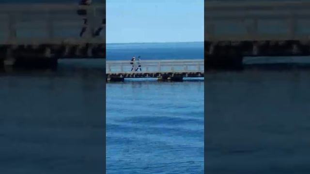 Виды Валаама часть первая смотреть онлайн