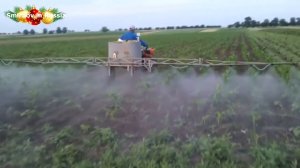 Мотоблок/ На что способен мотоблок/ Видео подборка 2021 и т д Часть #2