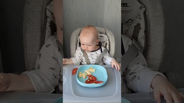 Даниил 8 месяцев ест помидор.