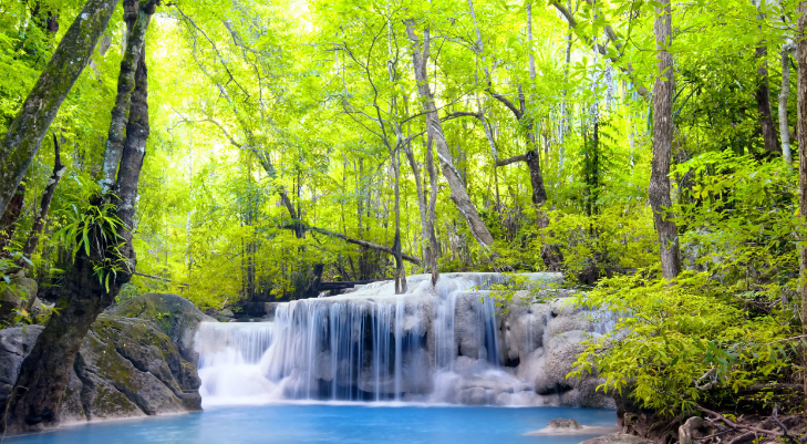 Лесной водопад. Звуки природы - Легкий горный водопад ✦ Звуки леса и пение птиц ✦ Relax Sleep смотреть онлайн