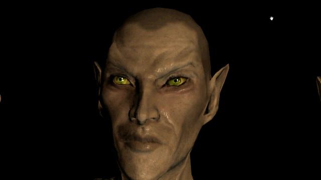 Pt.1 Faces Of Skyrim:High Elves! 20 new close up pictures analysed! HD смотреть онлайн
