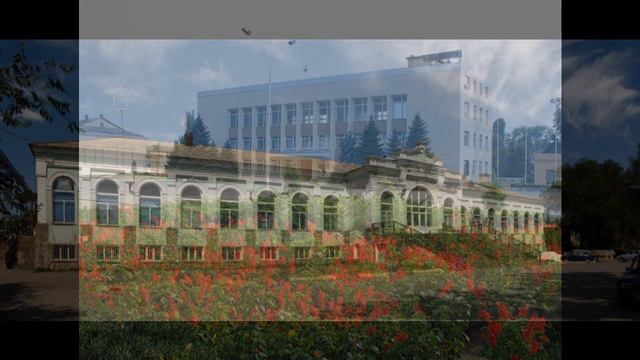 красный сулин сальск смотреть онлайн