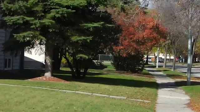 Район Хороший для Жизни | 3 | Виннипег смотреть онлайн