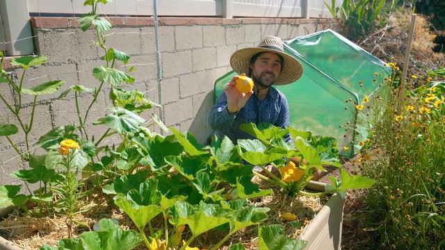 Don't Bother Growing These 9 Crops