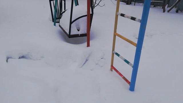 Абрикос из косточки ??? смотреть онлайн