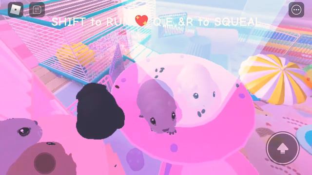 Играю в "симулятор морской свинки" в роблоксе смотреть онлайн