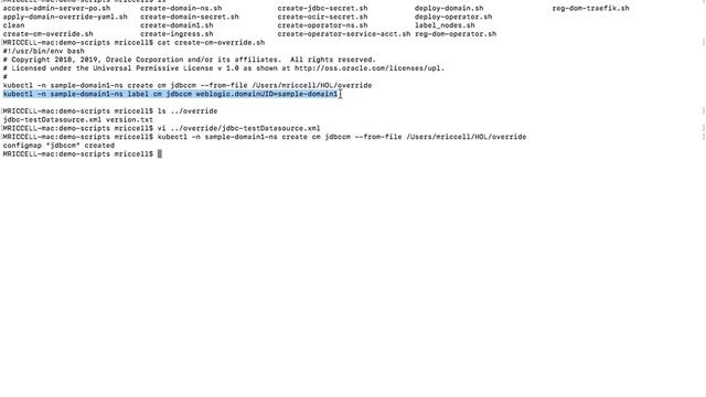 Demo WebLogic on Kubernetes - Config Overrides смотреть онлайн
