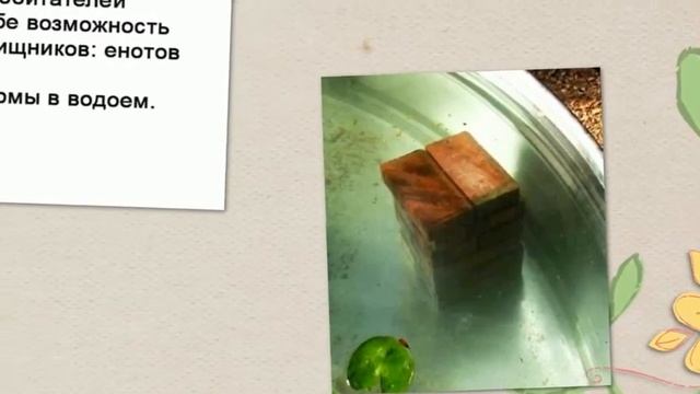 Как сделать пруд своими руками смотреть онлайн